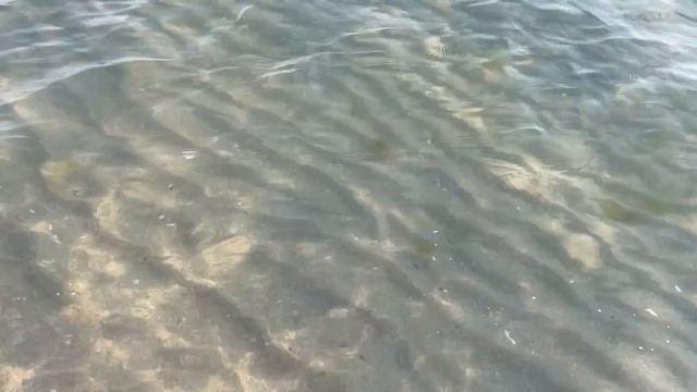 КРЫМские Мальдивы Оленевка: я в ШОКЕ ! Море как слеза и белый песок! Крым 2021 смотреть онлайн