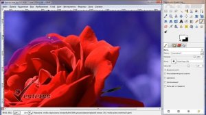 Быстрая маска: Маска слоя. Выделение маской слоя. Gimp уроки.
