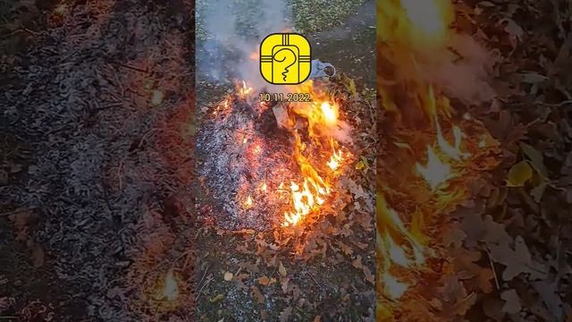 10.11.2022. День желтого резонансного воина 7 тона. #гадание #майя #магия #гороскоп смотреть онлайн