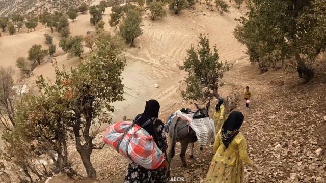 Nomadic Life, The New Challenge Of The Nomadic Family, Homelessness