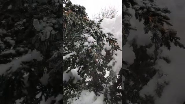 Чистим снег на даче в январе 2022г #снег #дача зимой смотреть онлайн