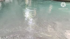 Каменномостский. Адыгея. Голубая лагуна. Огромная скала. Бесплатно