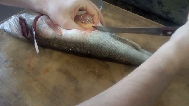 Судак запеченный в духовке самый быстрый способ смотреть онлайн