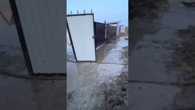 Якутск, микрорайон Стерх, улица Овощеводческая #россия #shorts смотреть онлайн