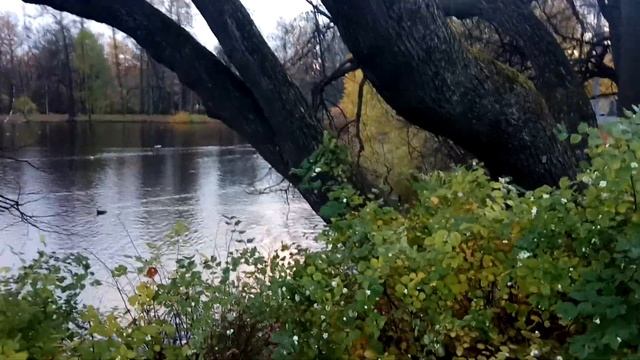 VID 20211018 165224 Неоконченный черновик 1931 (Вл. Набоков)...Павел Васильев Лахтинский смотреть онлайн