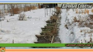 ВОТ ПОЧЕМУ у меня на огороде НЕТ и НЕ БУДЕТ ни одной ТЕПЛОЙ ГРЯДКИ Моя дачная ИСТОРИ