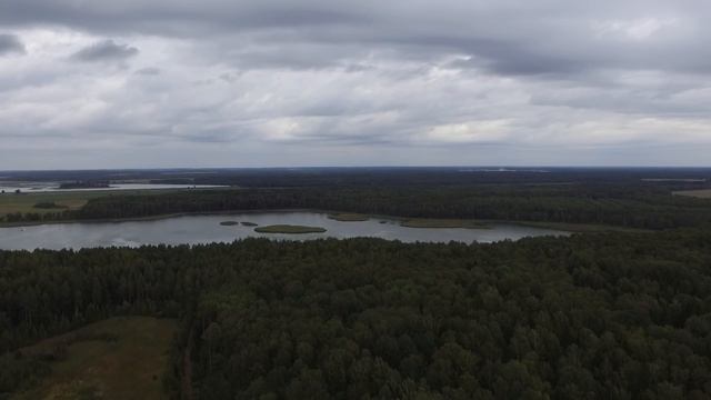 ПЕРВЫЙ ТРОФЕЙ! Ловля КАРПА на ПЛАТНОМ лесном пруду. #22 смотреть онлайн