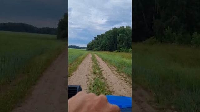 Баги К5 в поле. смотреть онлайн
