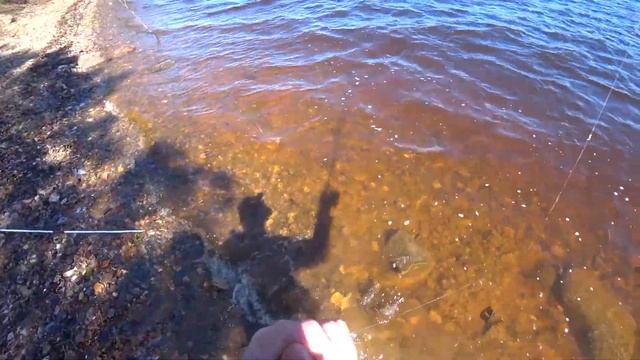 Разгиб крючка, Рыбалка на фидер, такого я не ожидал! смотреть онлайн