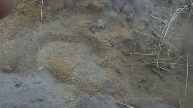 Выпуск 1. Металлопоиск. Пляж смотреть онлайн