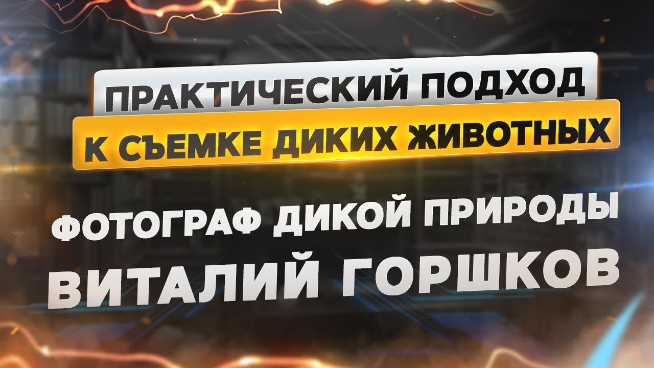 Животные