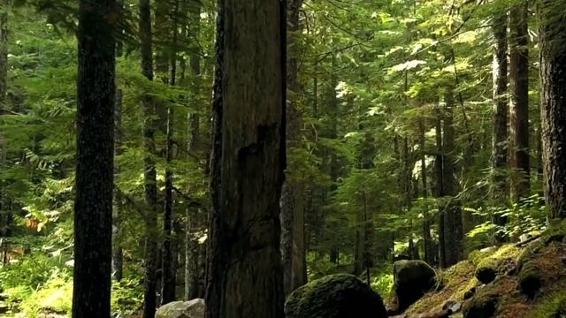 ВЕЧЕРНЯЯ МОЛИТВА ПЕРЕД СНОМ | 28.10.2023 смотреть онлайн