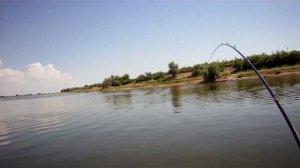 Рыбалка на паромной яме в Селитренном