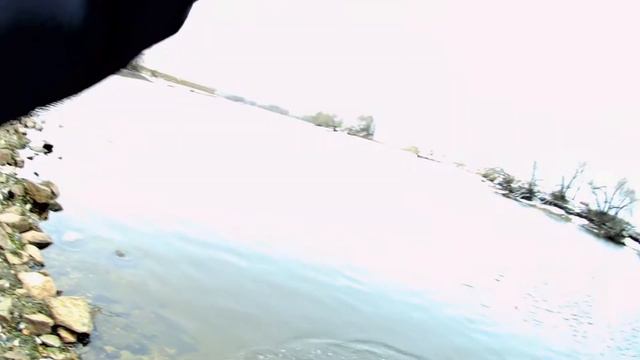 Окунь. Берш. Мормышинг. Микроджиг. р. Москва. Январь 2020 смотреть онлайн