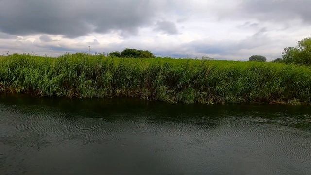 Нашёл место у реки.Где лучше клюют окуньки. смотреть онлайн