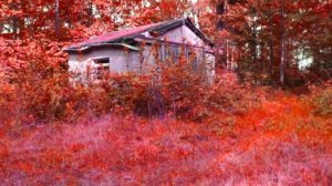 СТРАШНАЯ МУЗЫКА! ТОП 10 ОЧЕНЬ СТРАШНОЙ МУЗЫКИ! ХОРРОР МУЗЫКА!