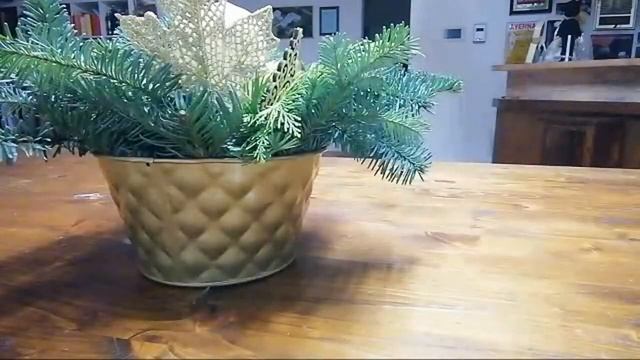 Обращение к Мамбе, Наташа Б. смотреть онлайн