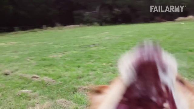 I Get Knocked Down! Fails Of The Week смотреть онлайн