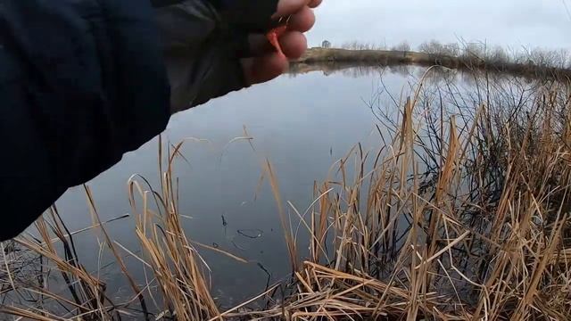 ЭТО не ОКУНИ а КОНИ!!! Крупный ОКУНЬ на Отводной Поводок в небольшом пруду, гнёт спиннинг в дугу!!! смотреть онлайн