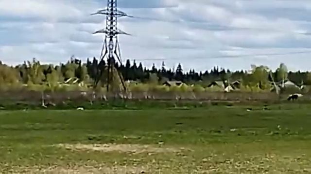 ремонт кровли смотреть онлайн