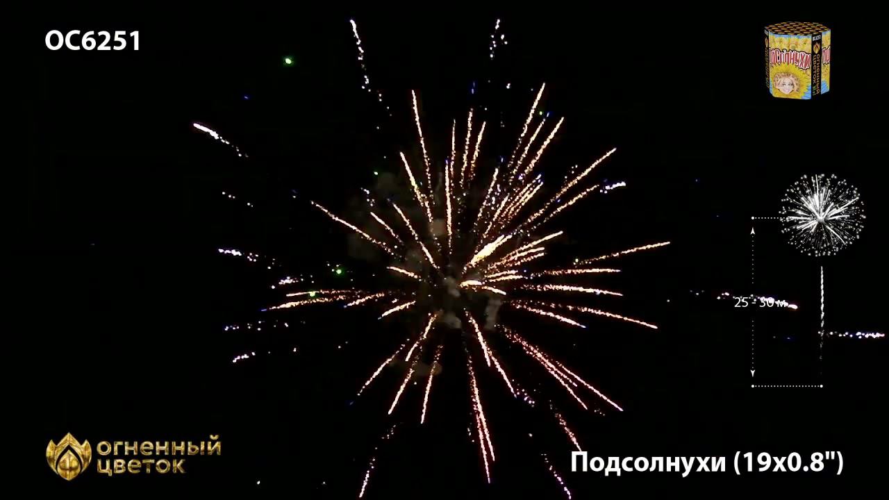 OC6251 смотреть онлайн