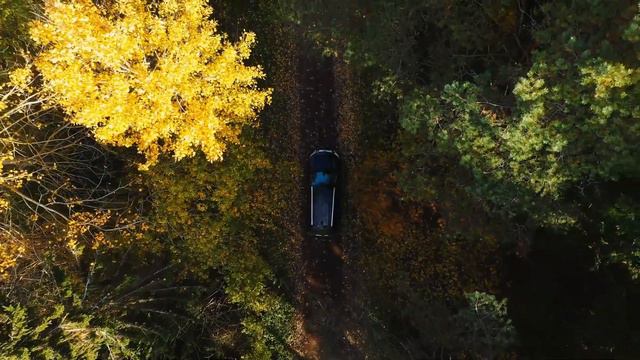 Ten-Minute Meditation for Focus... Listen to Daily to Increase Focus! #relax #meditation смотреть онлайн