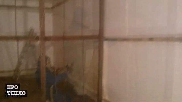 Видео ремонт холодильной камеры по хранению рыбы смотреть онлайн