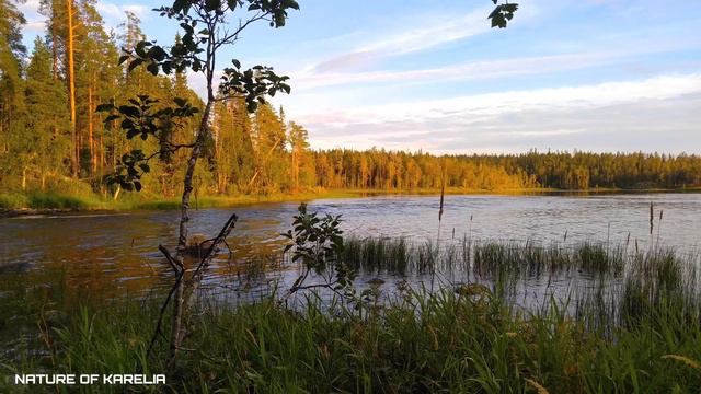Northern Karelia. Pike Lake / Северная Карелия. Щучье озеро смотреть онлайн