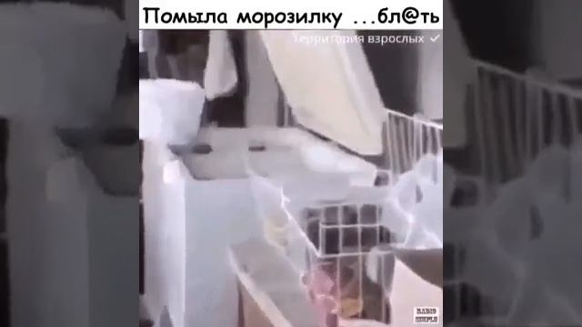Помыла морозилку. смотреть онлайн