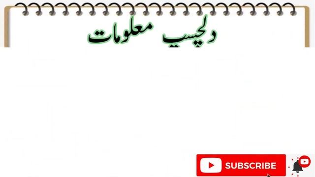 Most Repeated MCQs of General Knowledge || Paheliyan in Urdu смотреть онлайн