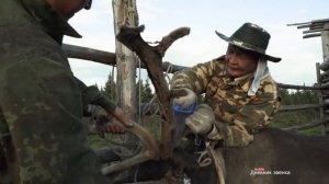 ЛЕСНЫЕ ЛЮДИ.