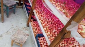 Гидропоника лук. Лук на минвате.