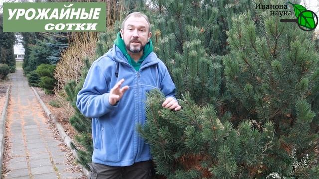 Никому не верьте, сами проверьте! Каким воздухом мы дышим? смотреть онлайн