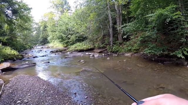 ЛОВЛЯ ФОРЕЛІ В КАРПАТАХ смотреть онлайн