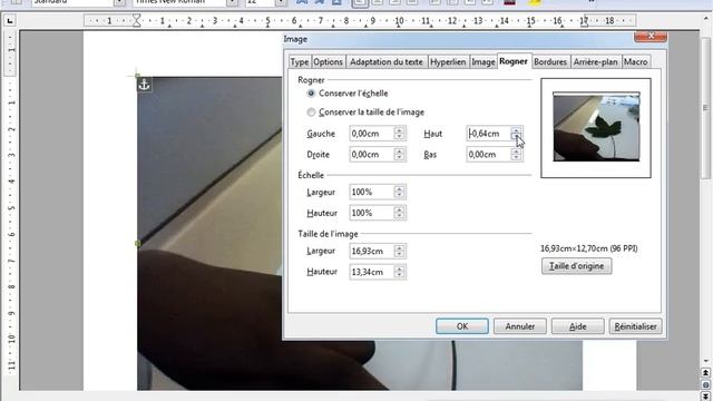 Tutoriel 6ème Comment rogner une image sous libre office? смотреть онлайн