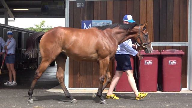 Inglis Classic Smart Missile x La Petite Coquette смотреть онлайн