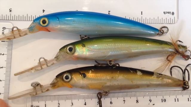 Lure Review - Rapala X-rap Deep XRD10 Underwater Action + Fishing Action - My Lure Box