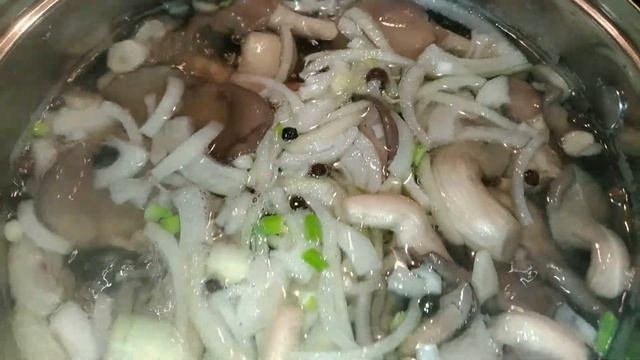 Маринованные вешенки/Маринование: Рецепт № 9 смотреть онлайн