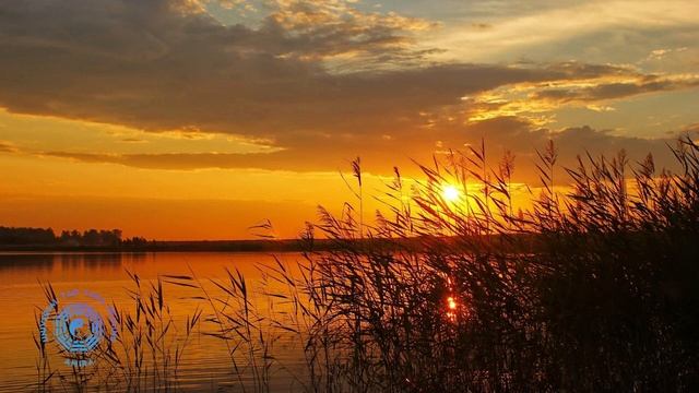 День 2 Медитация Изобилия 21 день. Источник всего Изобилия. смотреть онлайн