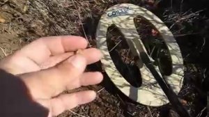 Minelab GPX-4500 finds another gold nugget