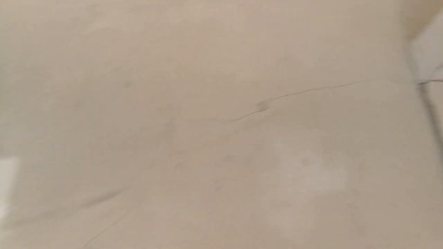 Наливной пол: Коридор и Большая комната смотреть онлайн