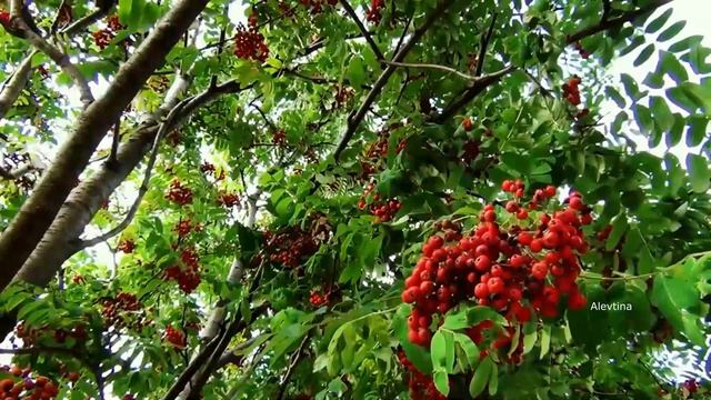 Русская земля смотреть онлайн