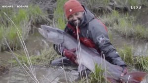 DAIWA LEXA JIG / Андрей Старков о новой серии удилищ