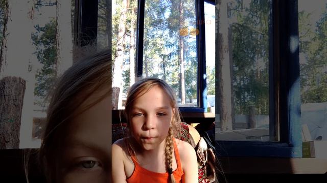 🍊🍊🍊 смотреть онлайн