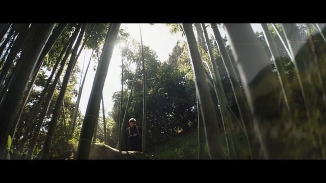 Люк, Грогу, Асока, Дин Джарин | Книга Бобы Фетта 6 серия | The Book of Boba Fett - Episode 6 смотреть онлайн