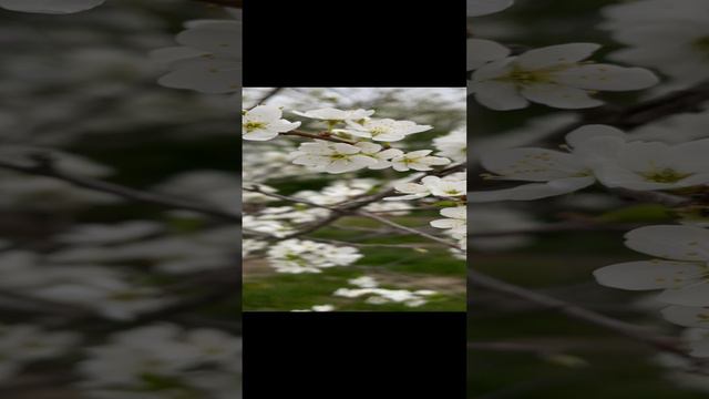 Дачный сезон открыт 🥰 смотреть онлайн