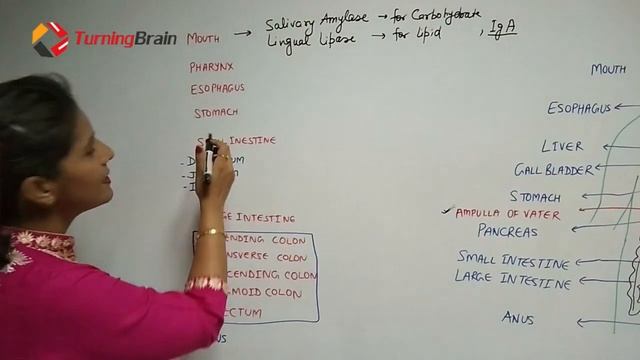 INTRODUCTION TO GIT смотреть онлайн