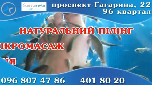 GarraRufa - Рыбный массаж.avi смотреть онлайн