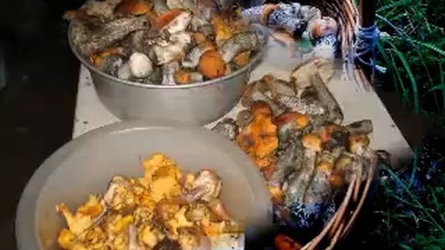 ченцкие грибы 2012 года смотреть онлайн