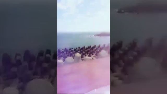 Центробежные вентиляторы низкого давления 220 мм 230 в с закругленными назад лопастями (c2e 220.44b